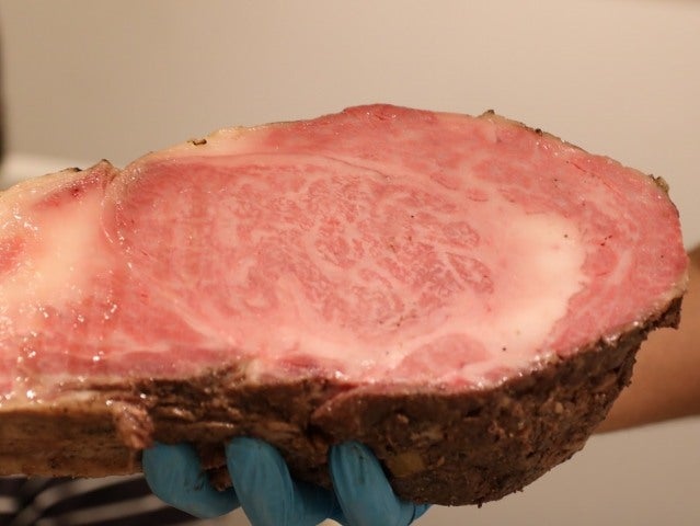 column_d6f64ec6b1c00dbce6373071008adcde.