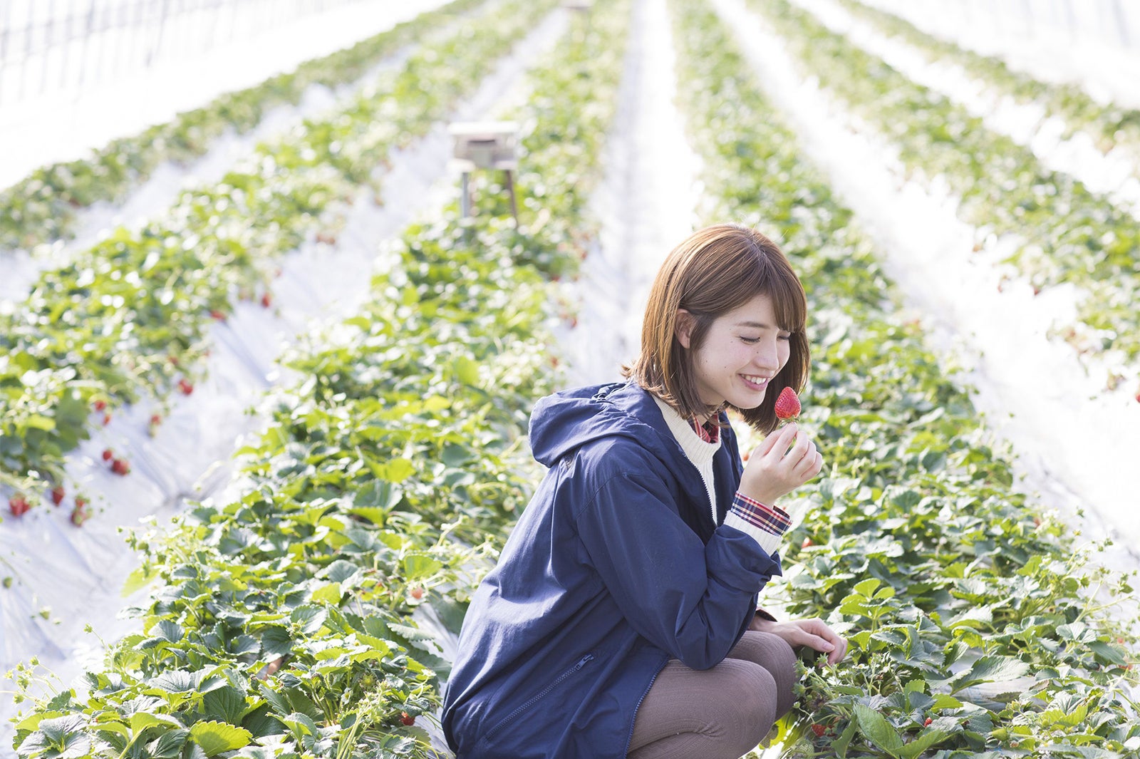 いちご狩り体験／画像提供：かすみがうら未来づくりカンパニー