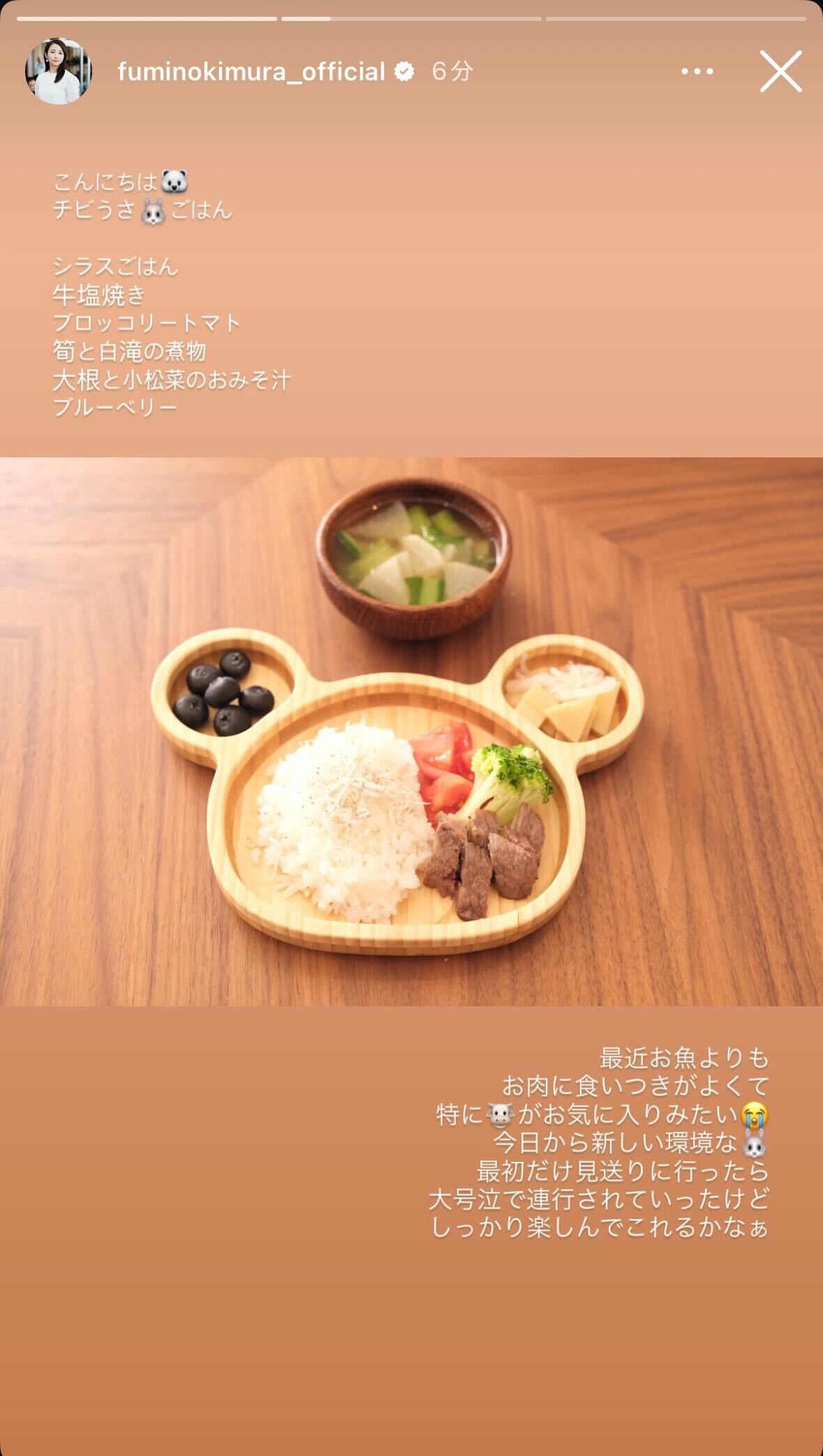 木村文乃Instagramストーリーズより