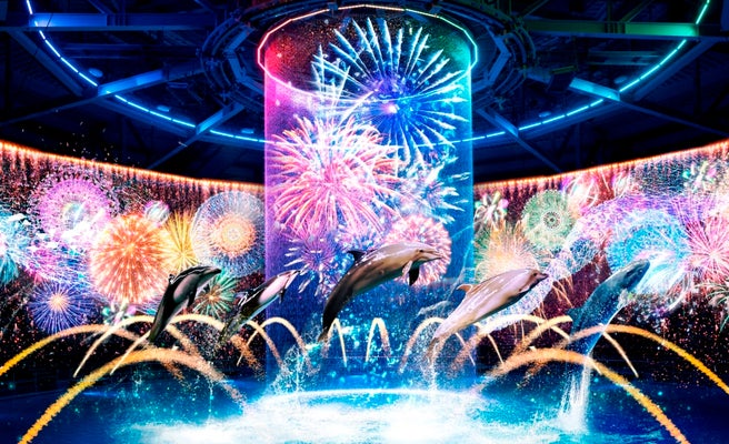 海の世界 最先端の花火アート 花火アクアリウム がアクアパーク品川で開催 女子旅プレス 海の世界 最先端の花火アート 花火アクアリウム がアクアパーク品川で開催 女子旅プレス