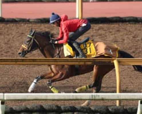 【地方競馬】JBCレディスクラシック グランブリッジ攻め強化手応え 新谷師「今回は本数をしっかり乗り込んだ」