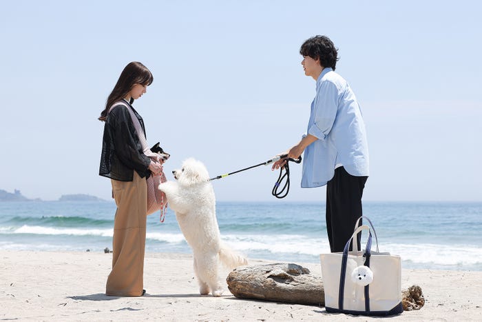 清原果耶、成田凌「初恋DOGs」第3話(C)TBS