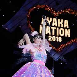 佐々木彩夏ソロコンサート「AYAKA NATION 2018」（C）HAJIME KAMIIISAKA＋Z