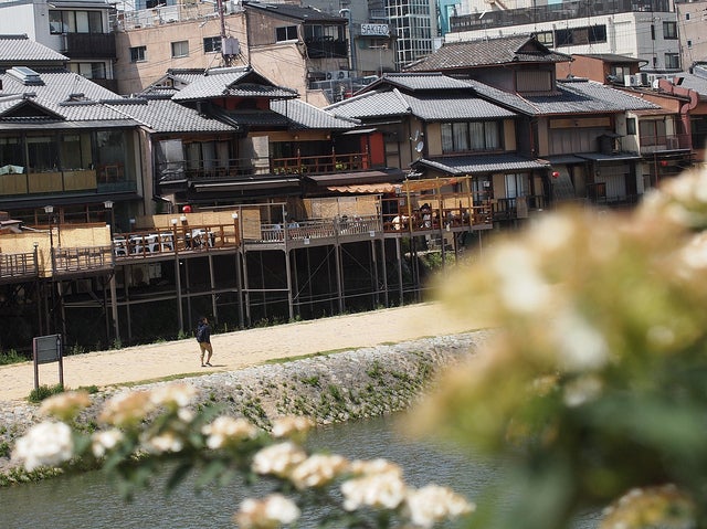 昼の鴨川沿い／photo by VARDIGA