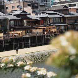 昼の鴨川沿い/photo by VARDIGA