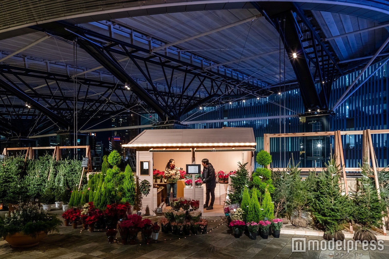 もみの木ショップ／画像提供：六本木ヒルズ