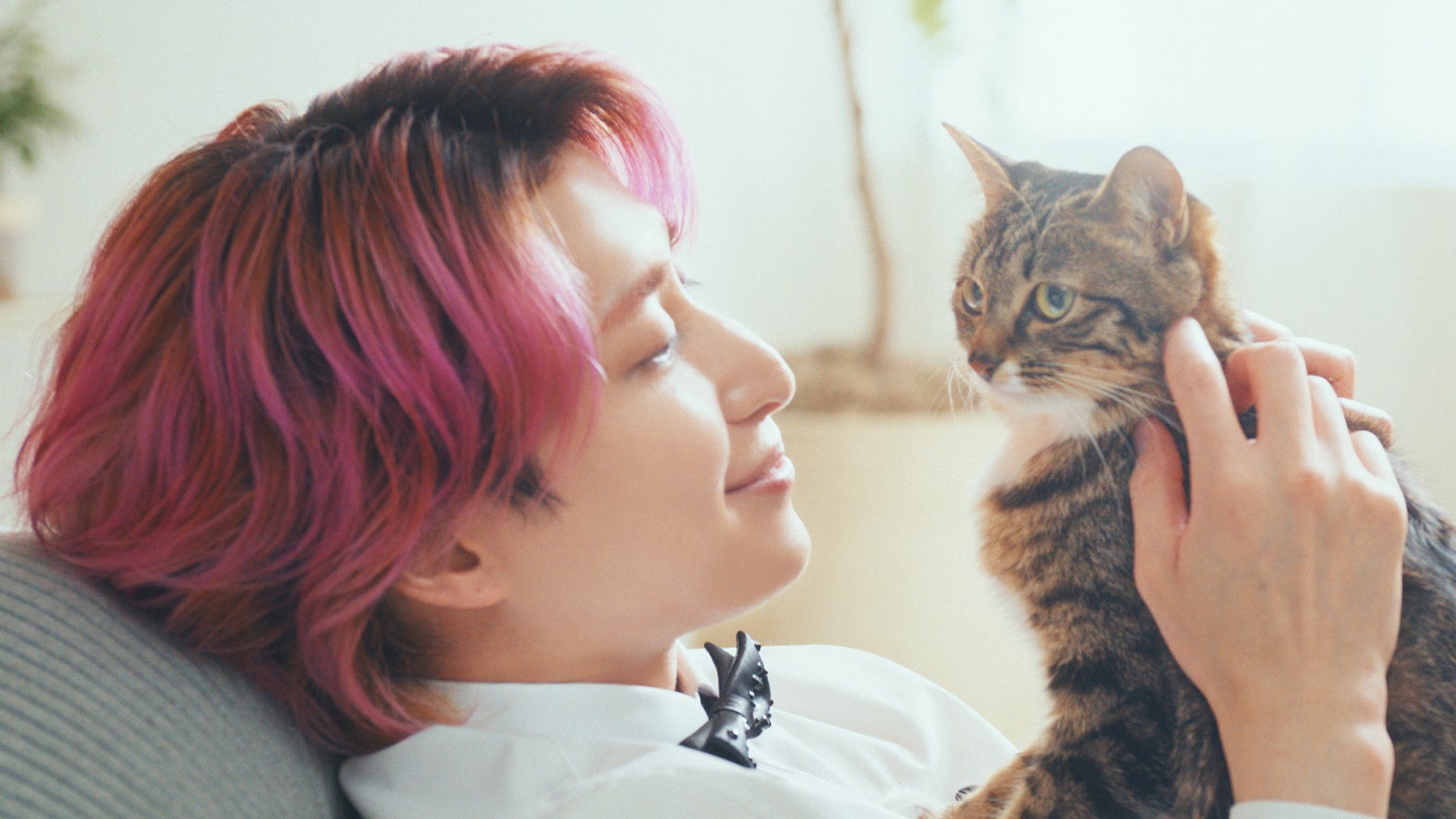 佐久間大介「佐久間さんのおもてなし」篇（提供写真）