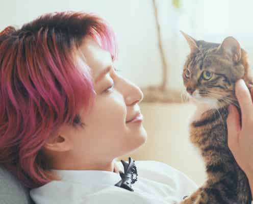 Snow Man佐久間大介、新CMで猫に囲まれ笑顔 愛猫との秘話も「可愛いなと思います」