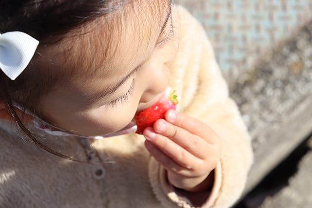 子どもがいちごを食べている