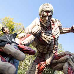 松岡修造/画像提供:ユー・エス・ジェイ