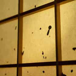 界 秋保/画像提供:星野リゾート