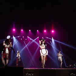 ℃-ute、セクシーナースでハロウィンライブ！／PHOTO：山内洋枝