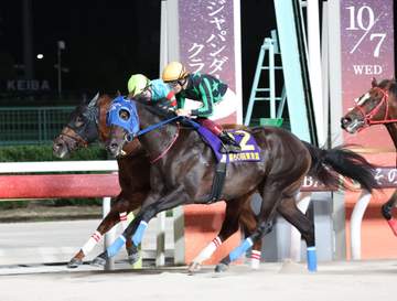 【地方競馬】3歳馬ゼーロスが東京盃V 地方馬8年ぶりの勝利 荒山勝師「最高の結果を出せた」