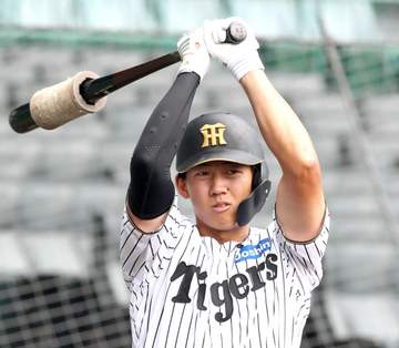 阪神・立石が1軍合流 フェニックスL打率・538打ちまくり緊急招集「しっかり準備していきたい」