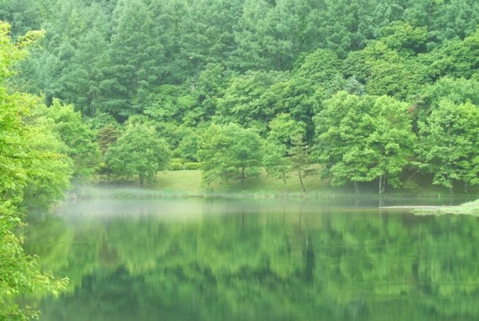 秋の旅行におすすめ長野・蓼科の旅