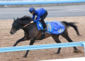 【マーチS】アクションプラン 軽快走披露 池上師は舞台を歓迎「結果の出ているコース」