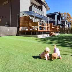 なごみリゾートRun八ヶ岳/提供画像