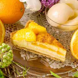結晶型 オレンジシブーストと桃プリンのタルト（カット）