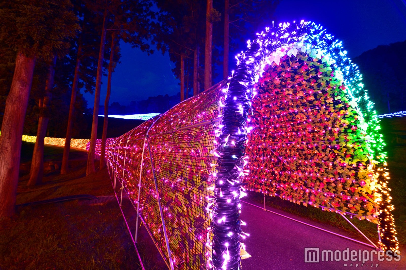 イルミネーション／画像提供：アパホテルズ＆リゾーツ