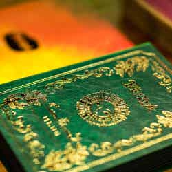 太陽の娘 FAVETTA/画像提供:三信商事株式会社