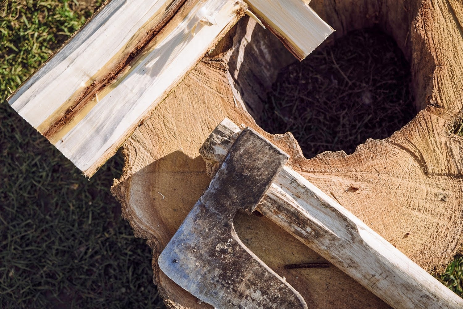 釣ヶ崎グランピングリゾート／画像提供：ブッキングリゾート