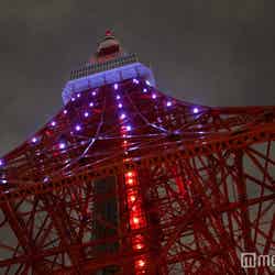 お月見階段ウォーク／画像提供：東京タワー