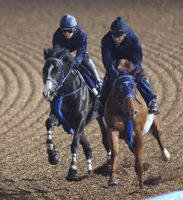 【クイーンエリザベス2世C】マスカレードボール 万全1馬身先着 手塚久師「力強さが出てきた感じ」
