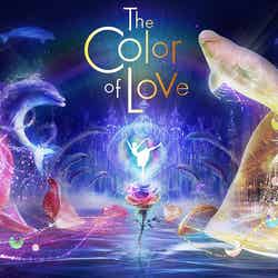 The Color of Love~幸せを呼ぶイルカ~/画像提供:横浜八景島
