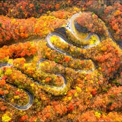 中禅寺湖・いろは坂・華厳の滝/画像提供:日光市観光情報発信センター