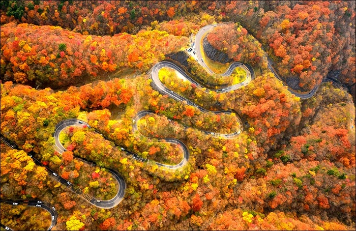 17年 日光の紅葉エリア別見ごろ時期発表 日光東照宮 のピークはいつ 女子旅プレス 17年 日光の紅葉エリア別見ごろ時期発表 日光東照宮 のピークはいつ 女子旅プレス