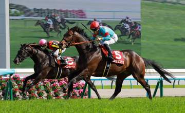 【京都新聞杯】コンジェスタス 無傷3連勝でダービーへ 西村淳は会心のガッツポーズ「強いメンバーに勝ってくれてダービーが楽しみ」