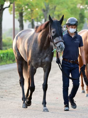 【阪神＆東京の危険な人気馬】阪神11R クロノジェネシス ...