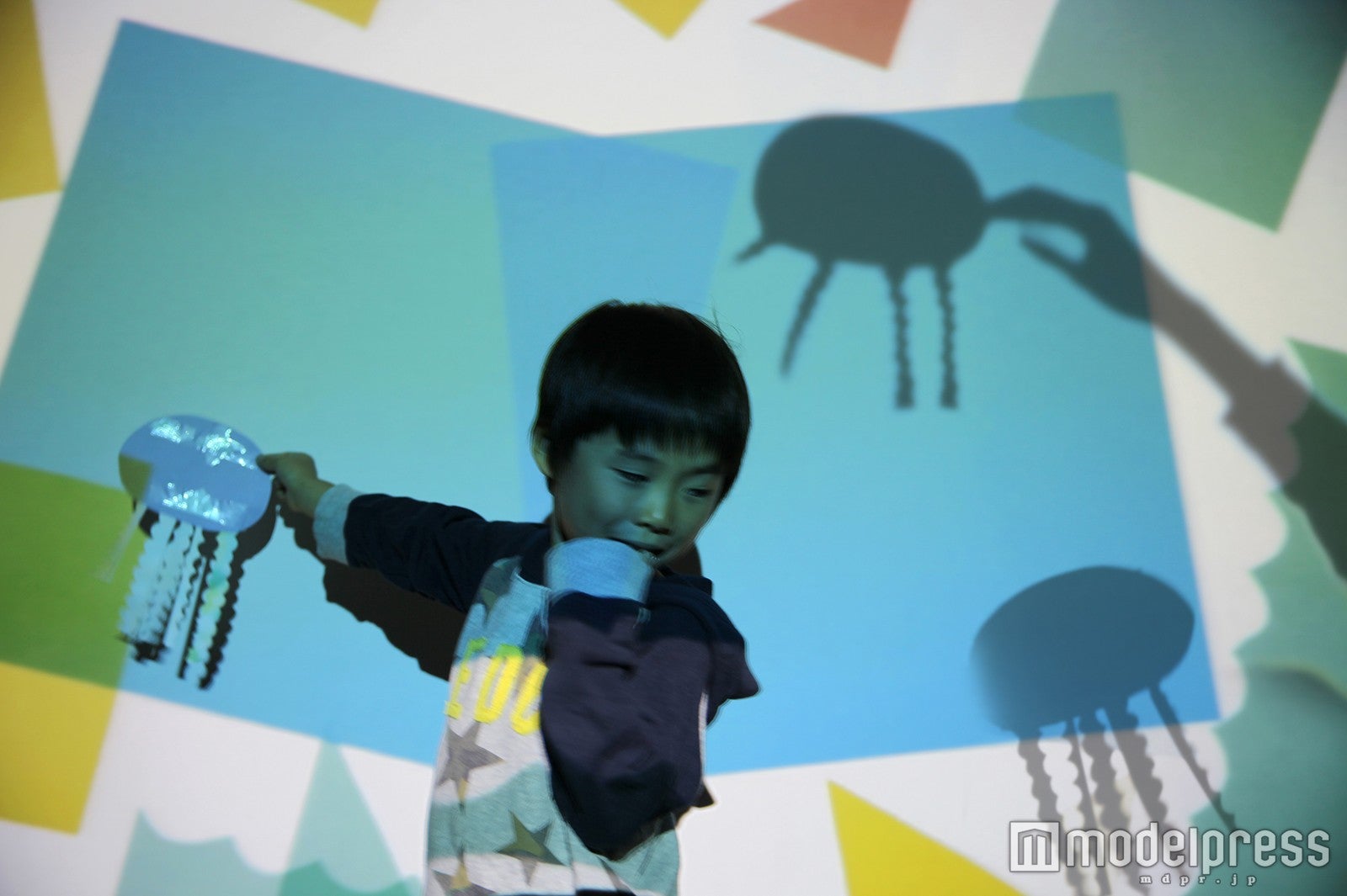 クラゲうつし／画像提供：すみだ水族館