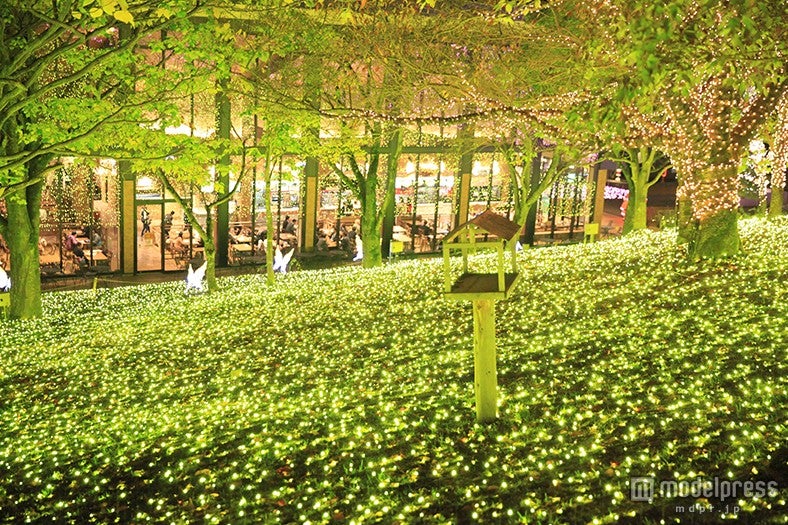 「さがみ湖イルミリオン」／画像提供：富士急行