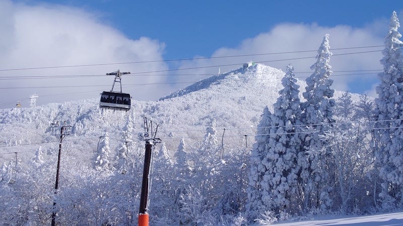 蔵王山麓駅と樹氷高原駅を結ぶ蔵王ロープウェイ山麓線（2024年1月28日撮影）