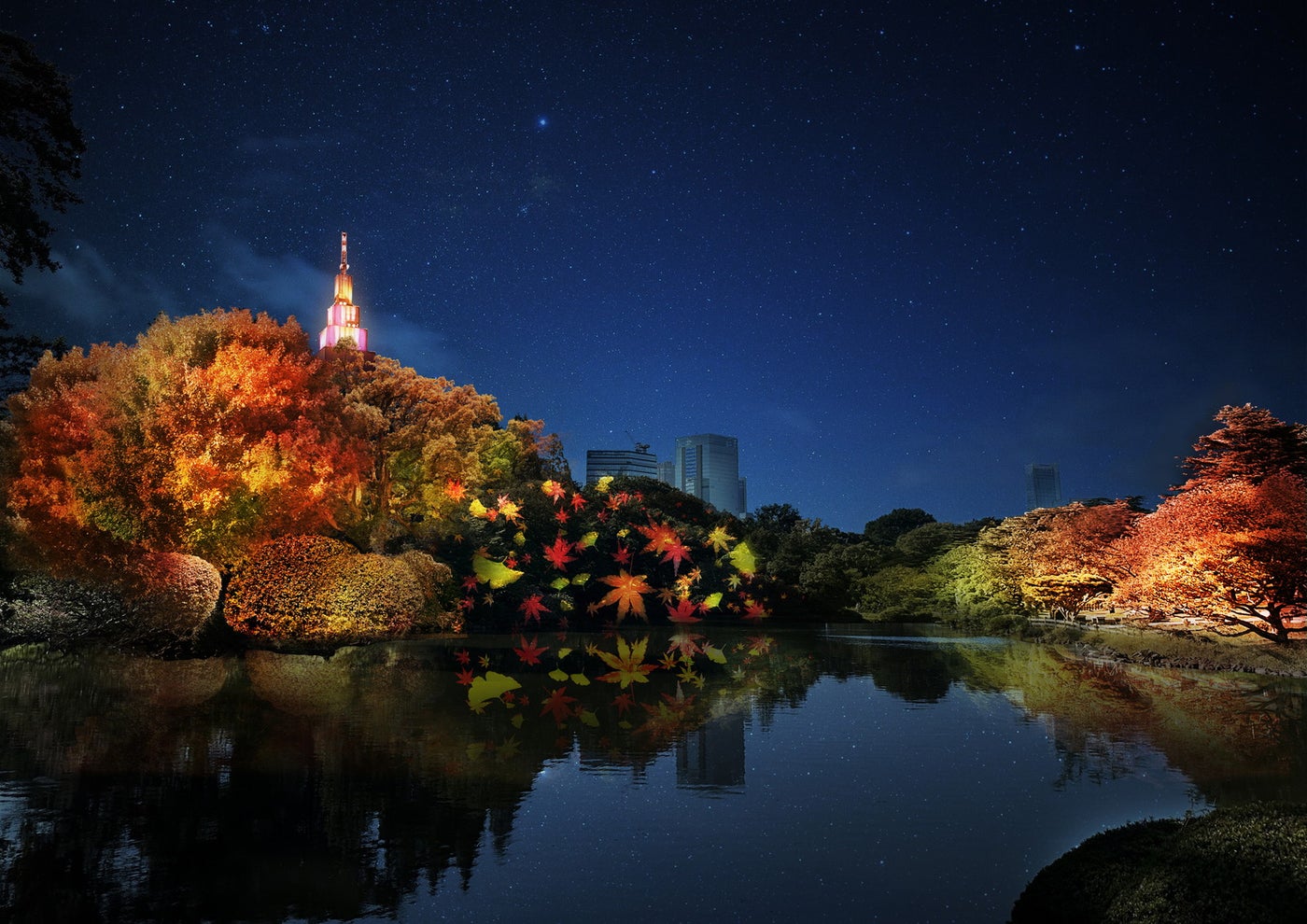 中の池：紅葉プロジェクションマッピング 「秋色の光」／画像提供：ネイキッド