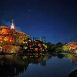 中の池:紅葉プロジェクションマッピング 「秋色の光」/画像提供:ネイキッド