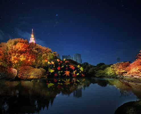 新宿御苑で紅葉ライトアップ「NAKED紅葉の新宿御苑2023」秋の色彩と光の演出が融合、飲食ブースも出店