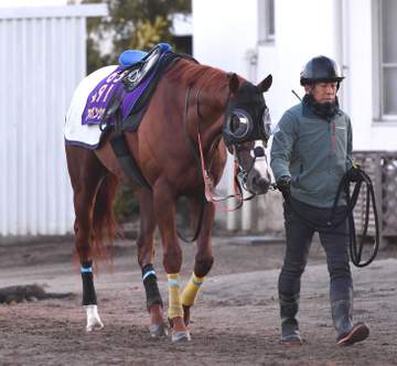 24年菊花賞馬アーバンシックが新潟記念での復帰見据えて調整 G1馬が続々参戦表明で今年も“スーパーG3”に
