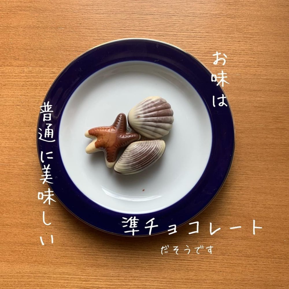チョコレートシーシェル