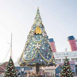 東京ディズニーシーでは、アメリカンウォーターフロントに高さ約15メートルの大きなクリスマスツリーが4年ぶりに復活（C）Disney