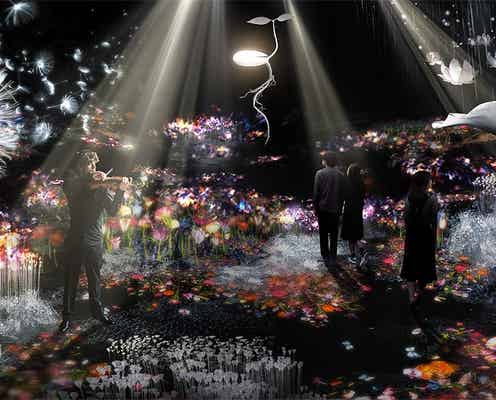 「FLOWERS by NAKED」2018年は過去最大級に、作品も一新