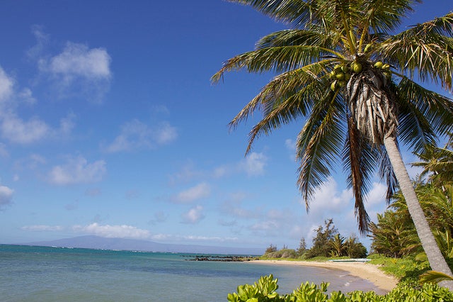 ハワイ・モロカイ島で楽しみたい4つのアクティビティ