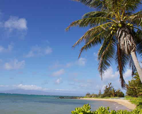 ハワイ・モロカイ島で楽しみたい4つのアクティビティ