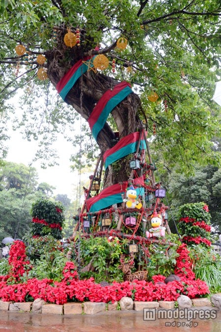 ロストリバーデルタのツリー（昼）