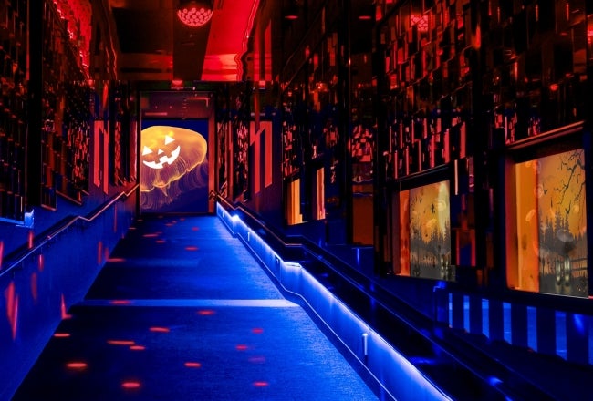 ハロウィンinすみだ水族館／画像提供：オリックス