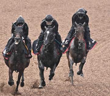 【宝塚記念】レガレイラ 軽快走 太田助手「調整過程は昨年よりもいい」 春秋グランプリ制覇へ不安なし