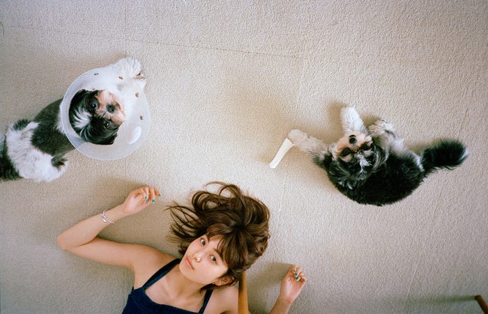 (画像提供:所属事務所)