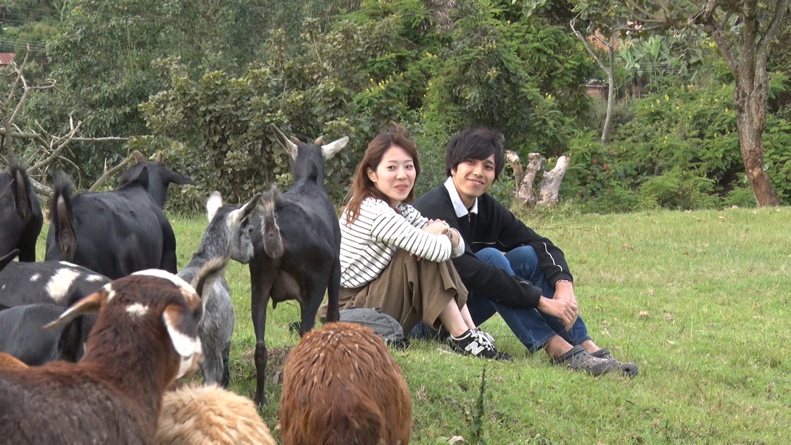 告白途中でヤギが乱入／すうすう、はり坊「あいのり：African Journey」第10話より（C）フジテレビ