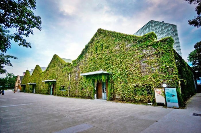 華山文創園區/画像提供:ネイキッド